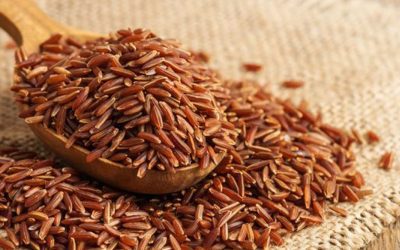 4 lợi ích của gạo lứt! Ăn gạo lứt để giảm cân và thải độc